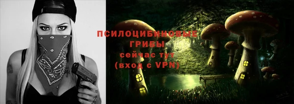 СК Нягань
