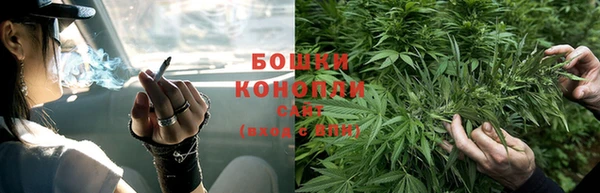 СК Нягань